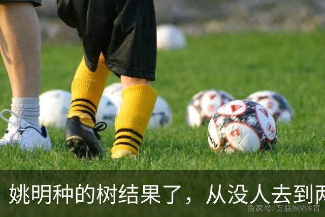 姚明种的树结果了，从没人去到两位数留洋，年轻人治好男篮老毛病